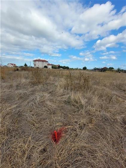 Viitorul Tau Incepe Aici - Teren de 614 mp in Viile Noi - 1