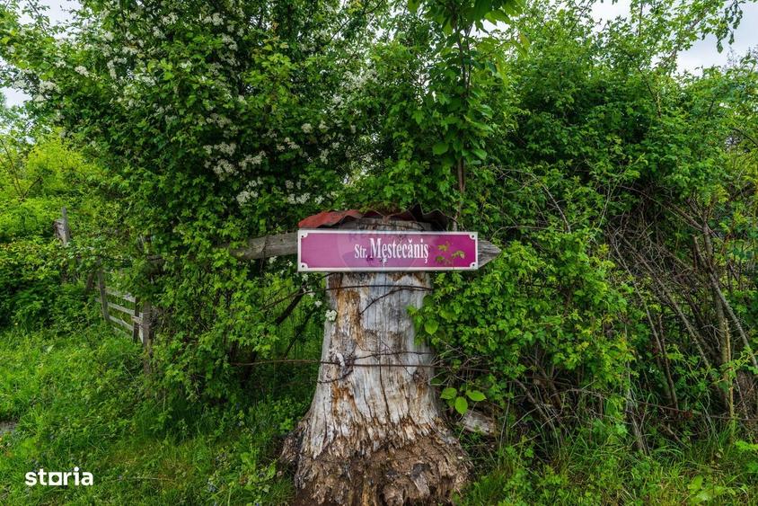 Spațiu comercial, în Sohodol