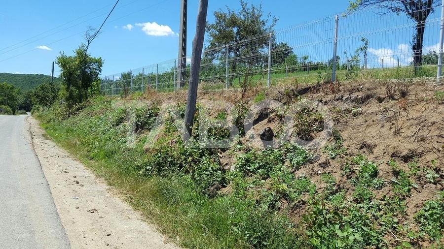 Teren Construcții intravilan de 1974 mp, în Loman