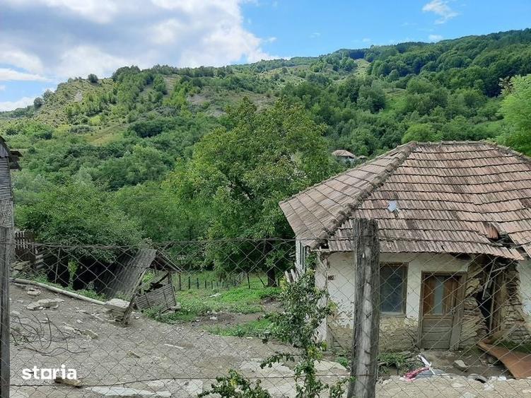 Teren de 1262 mp, în Chiojdu