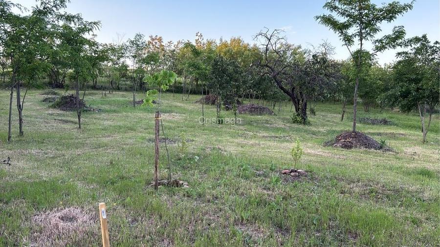 Titlu: Teren intravilan 1.700 mp + extravilan 17.800 mp Valea Calugareasca