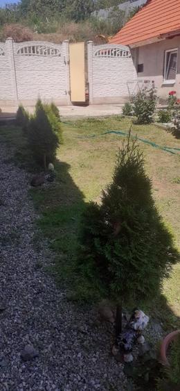 Casă cu 4 camere în Săliștea