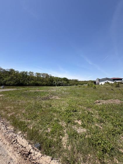 Teren Construcții intravilan de 7500 mp, în Brănești