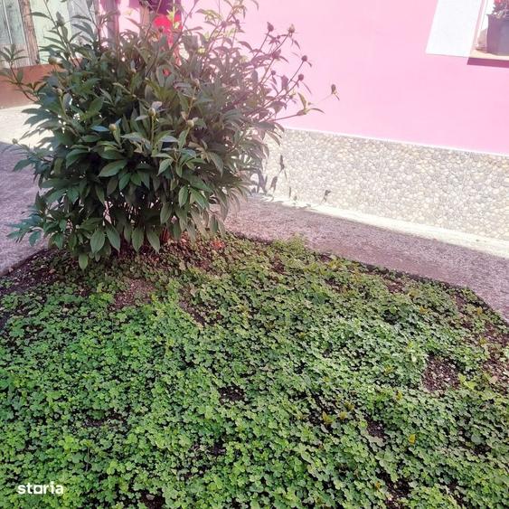 Casa de vanzare in Lazaret, cu teren de 80 mp si facilitati - 1