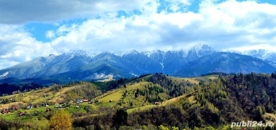 Teren de 5000 mp, în Moieciu