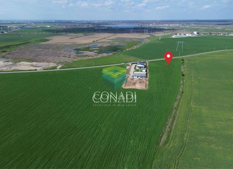 Teren Constructii - Industrial 5.000mp Cernica | Balaceanca - 2