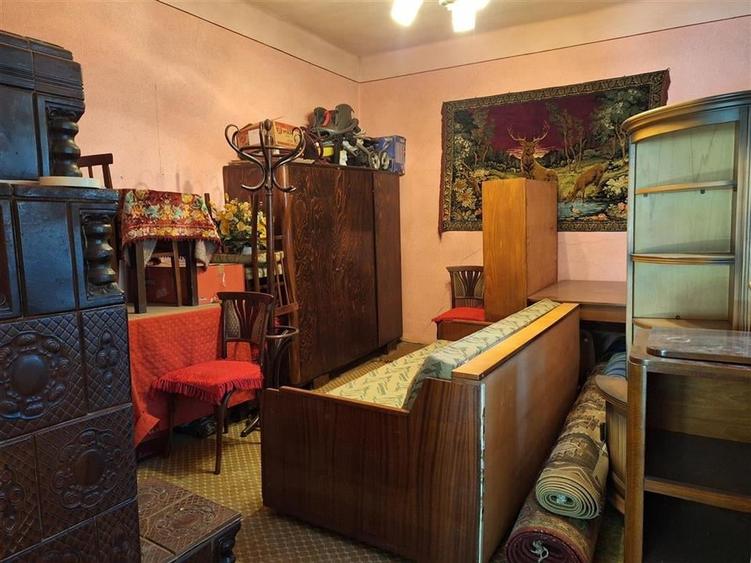 Reco, Casa cu teren generos de peste 5000 mp  in Tinaud - 12