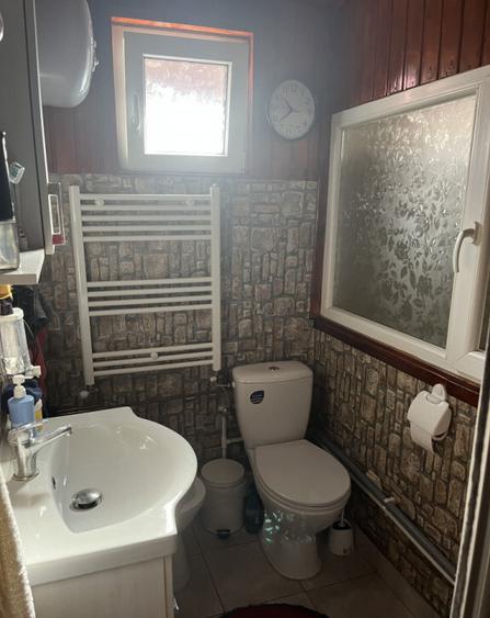 Casa Vladesti ?arina - 12