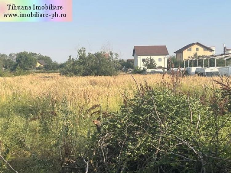 Teren Construcții intravilan de 2900 mp, în Blejoi