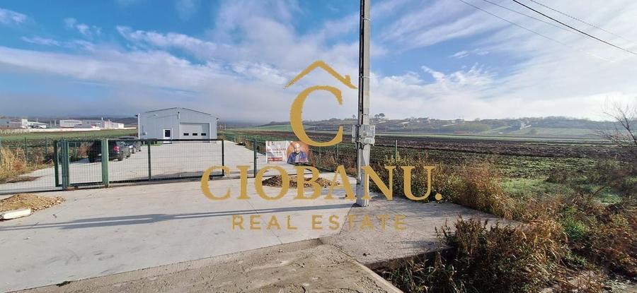 Hala de vanzare in Racarii de Jos - 16