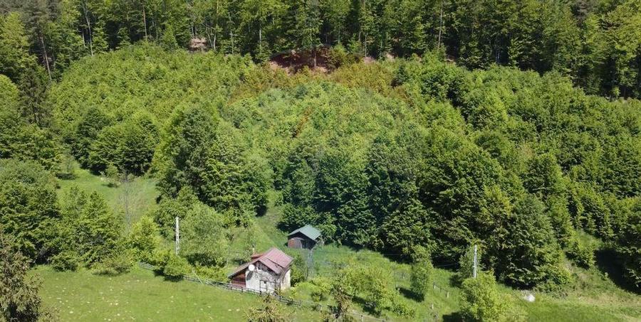 Comision 0%! Proprietate in natura, priveliste superba, S... - 3