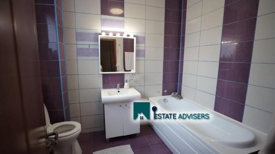 Vila de vanzare 9 camere|2008|Iancu Nicolae|Pipera - 18