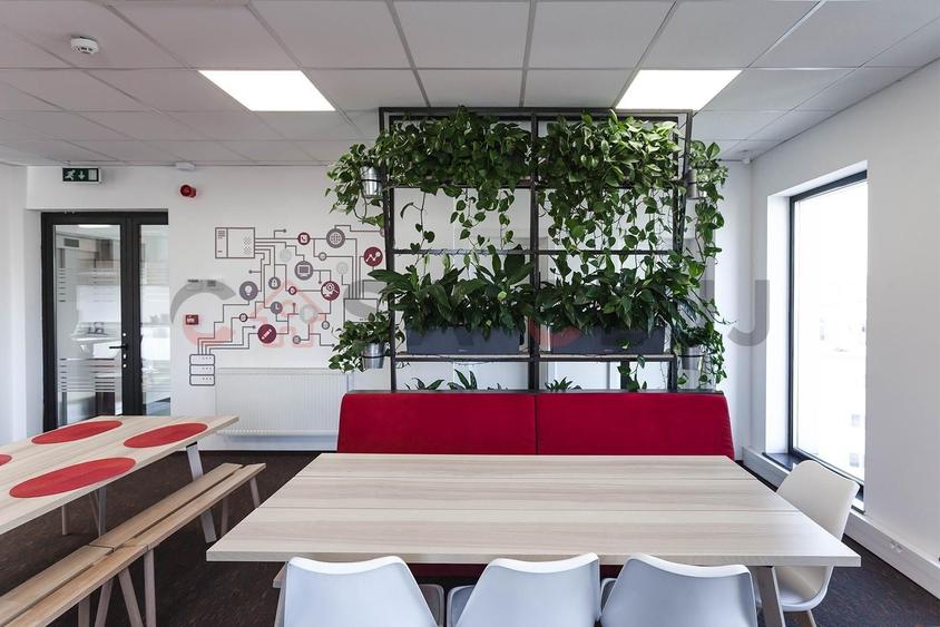 Spațiu de birouri , semicentral, Mărăști - 10