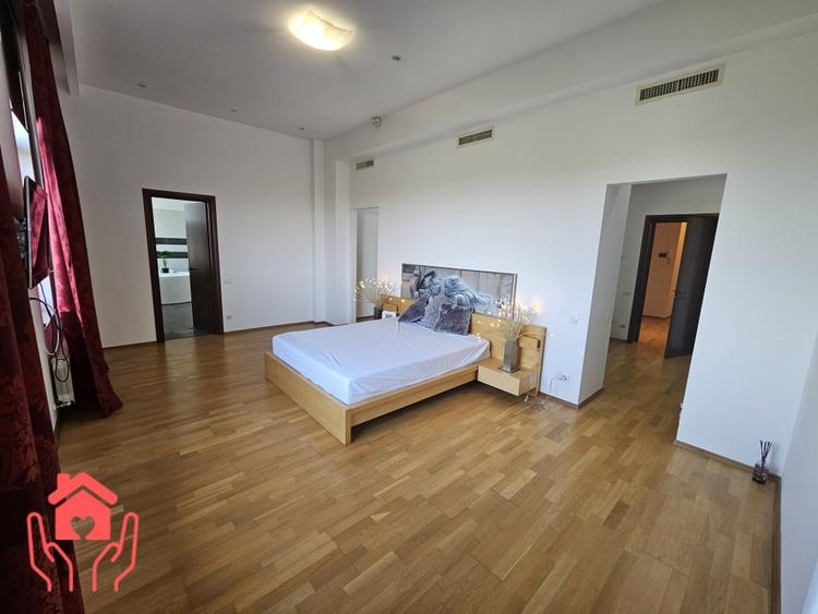 IANCU NICOLAE (ZOO)-PENTHOUSE 250 mp utili + 250 mp terasa, 3 dormitoare! - 23