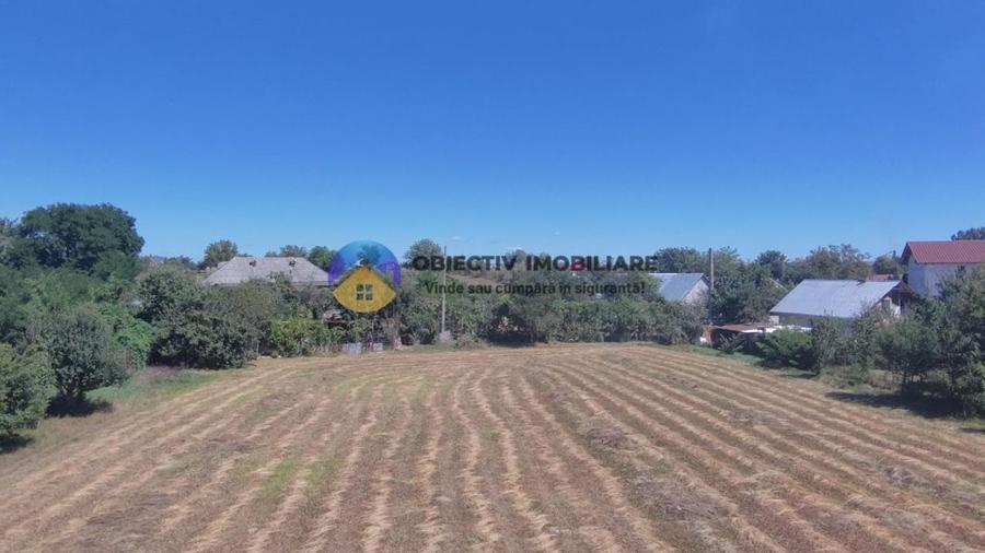 Casa + teren de vanzare - Zanesti - 9