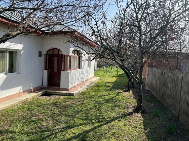 Vand Casa Crivina Jud Giurgiu - 5