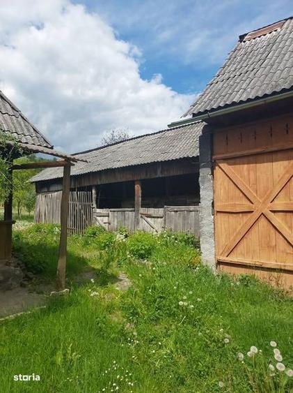 Doua case in zona linistita 1500Mp - 7
