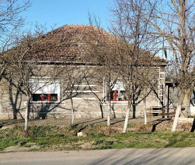 Vand casa in Zerind, jud. Arad Acte La ZI! - 1