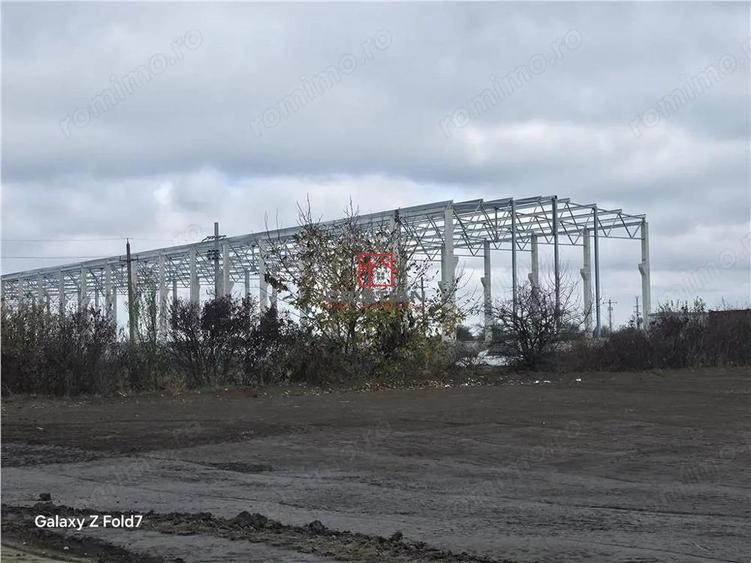 Vanzare depozit hala spatiu industrial Mogosoaia - Buftea - 5