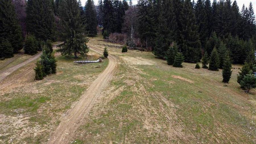 FILM! 1.000 mp,PUZ,regim P+2+M,destinatii turistice/rezidentiale. - 6