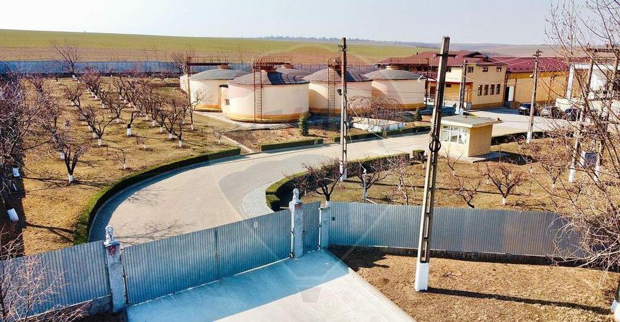 Crama din Buciumeni Afacere la cheie - 11