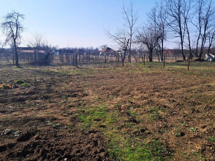 Casă și teren Polovragi - 11