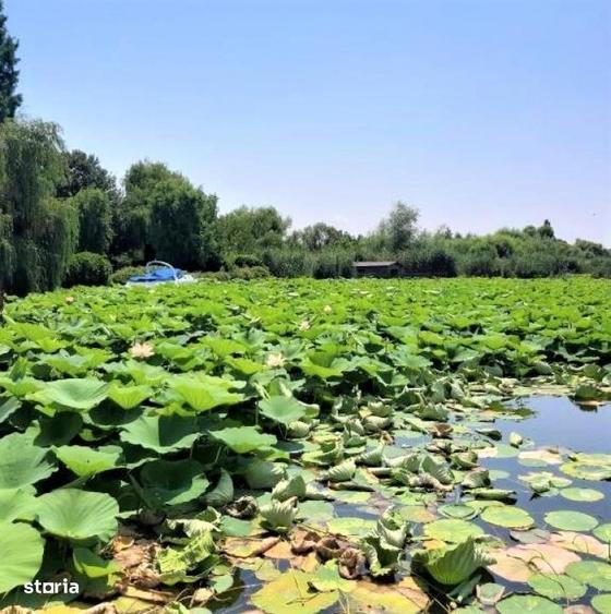 Casa Individuala Ponton / 6 Camere / Snagov - 1