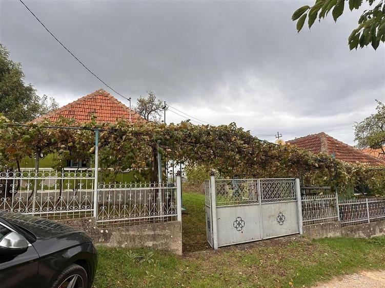 TEREN | 9341 MP | BALNACA GROSI | BIHOR - 2