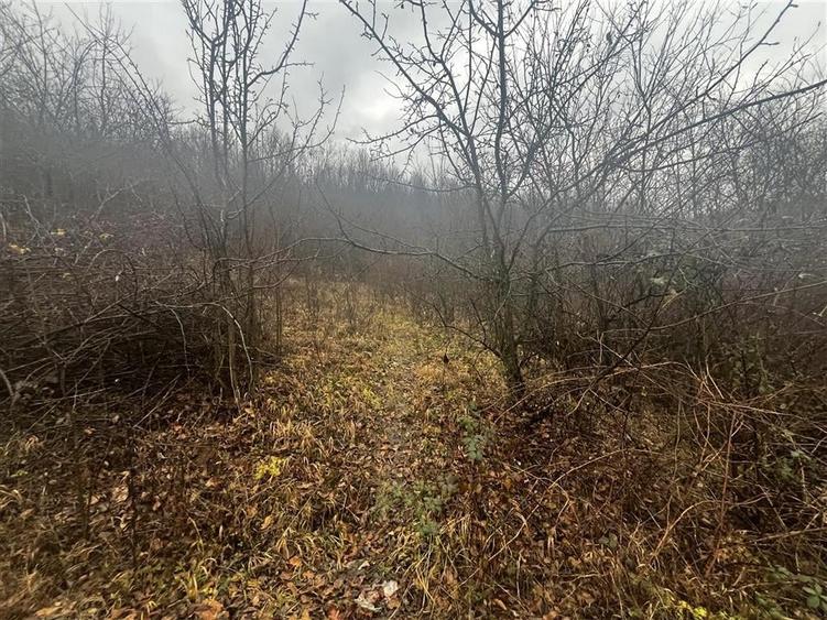 Teren intravilan 653 mp in Boldesti-Scaeni. - 10