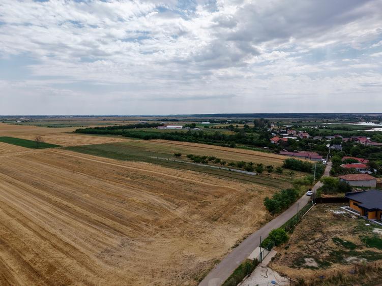 Teren Budeni - Delta Comana - Giurgiu - 2