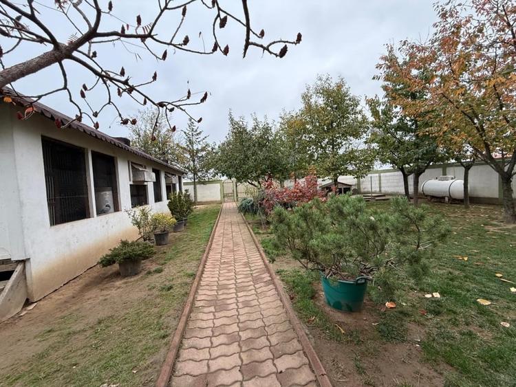 Casa D+P+M, 713 MP teren, 300 MP utili, Carcea, zona Metro - 12