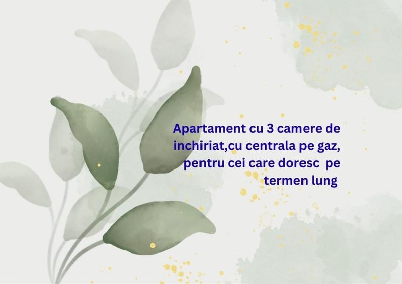 Inel I -EDEN- 3 camere  mobilat si utilat, cu centrala pe gaz - 1