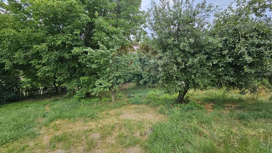 Teren intravilan 2,036mp Padureni-Sendriceni, Botosani - 1