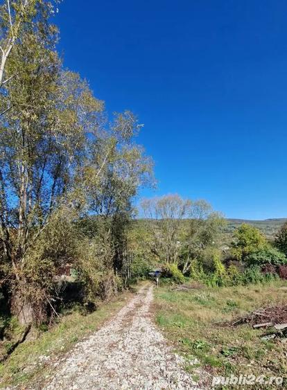 Casa in Vladesti - 6