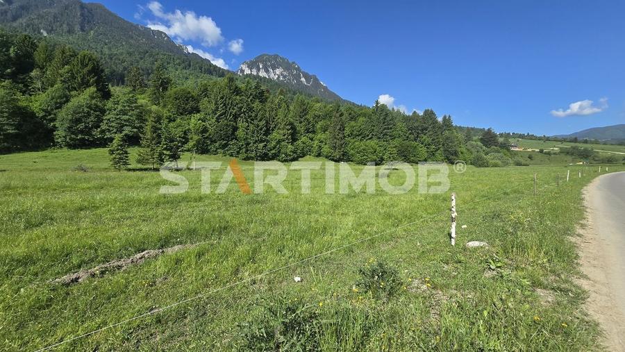 Teren intravilan Zarnesti Plaiul Foii - 11