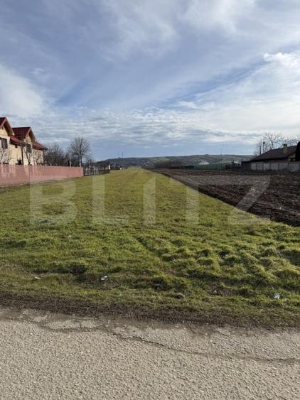 Teren intravilan, 1500 mp, zona Albesti - 2