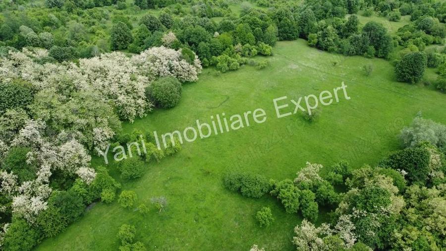 Teren de vanzare, in sat Blaju, comuna Tigveni, Judet Arges. - 8