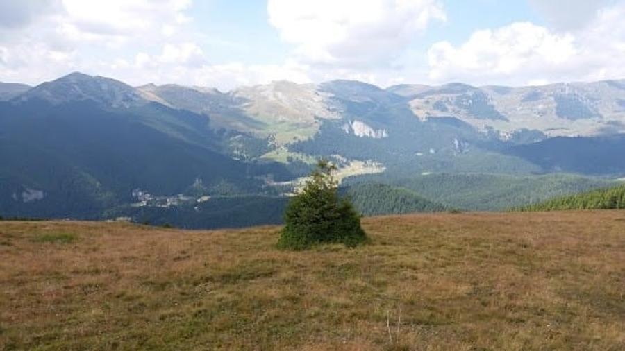 Platoul Bucegi zona Blana 2500mp intravilan construibil - TransBucegi - 15