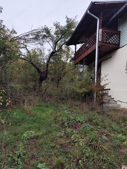 Vanzare sau Schimb! Central Drajna de Jos 5000 mp - 4