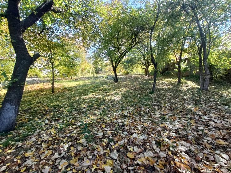 Oaza de liniste: Proprietate generoasa cu poten?ial de Investi?ie Locuin?a - 8