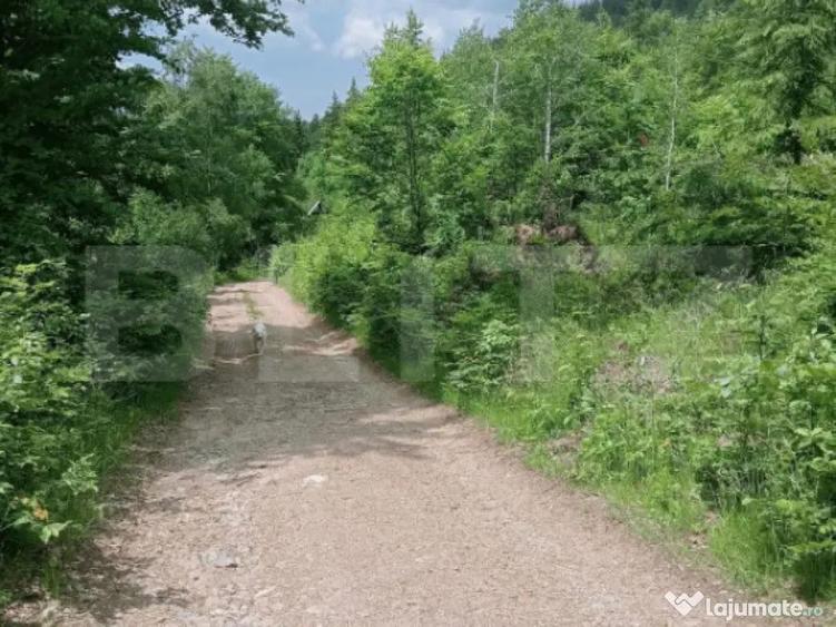 Teren intravilan de vanzare, 12000mp, Trance?ti, Scari? - 2