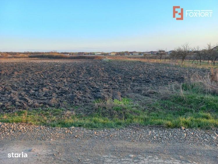 Teren extravilan industrial | 7.826 mp | 2 fronturi stradale | Ghiroda - 2