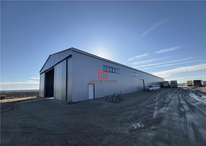 Depozit/hala/spatiu industrial Bolintin Deal - A1 - KM23 - 6