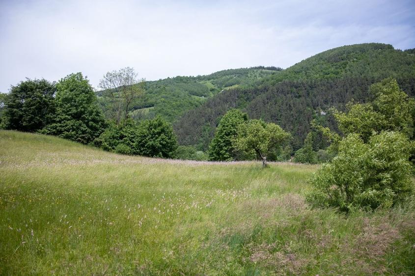 Teren intravilan - 1.050 mp în Bran cu utilitati – priveliște Bucegi - 8