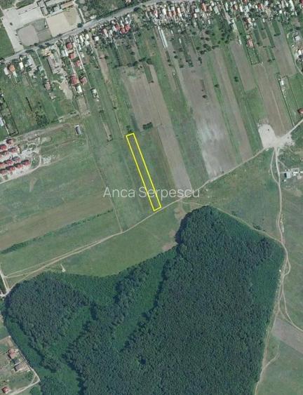 Teren de 5000 mp intravilan în Corbeanca – zonă rezidențială nouă Teren de 5000 mp intravilan în Corbeanca – zonă rezidențială nouă