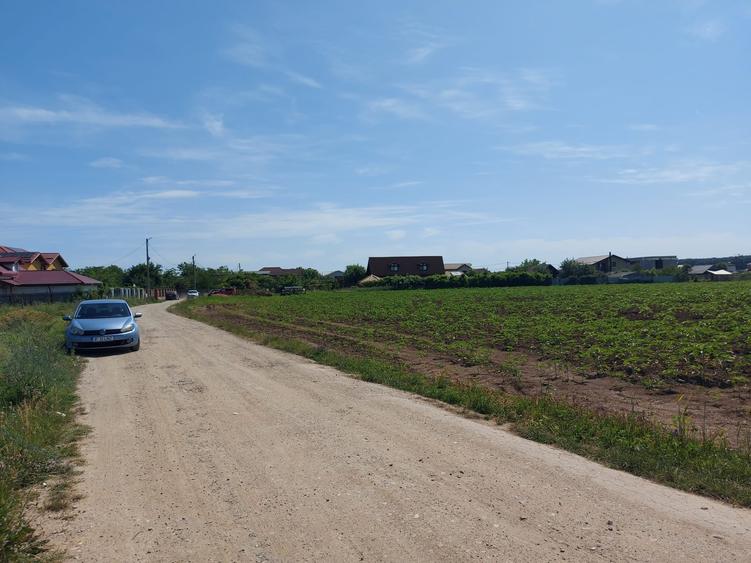 8.500 mp, cu deschidere la padure, dublă deschidere, Snagov –Ghermanesti - 5