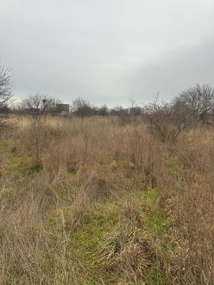 Teren 500 mp Agigea (Zona RO-RO) – La 400m de mare, excelent pentru casă - 2