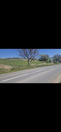 Teren intravilan cu puz aprobat - 1