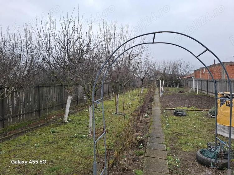 Vand Casa in Galsa jud.arad - 3