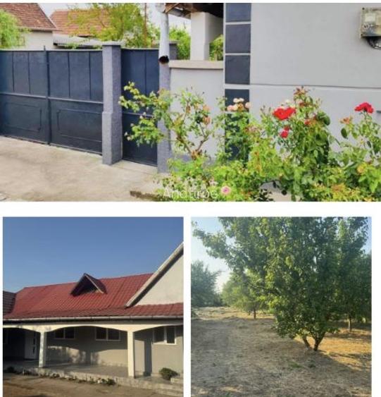 Vând casă modernă în comuna Cociuba Mare sat Cheșa Vând casă modernă în comuna Cociuba Mare sat Cheșa